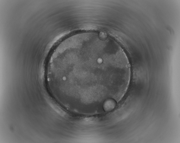 X0000113180584200909181855