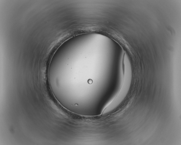 X0000113180585200909181855