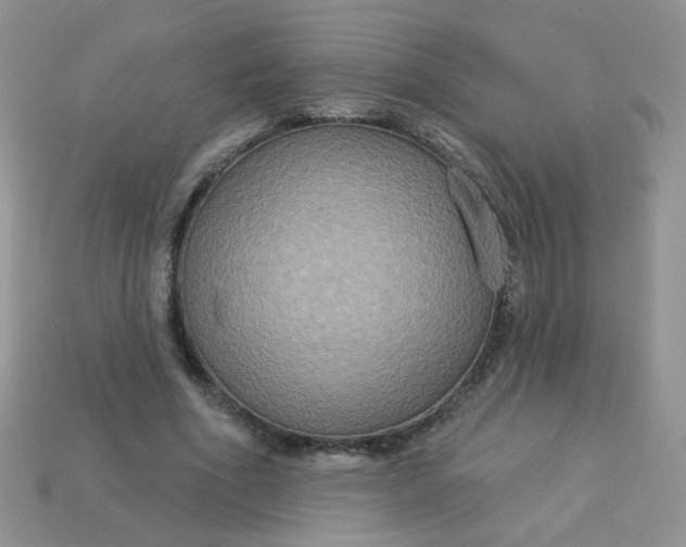 X0000113180586200909181855