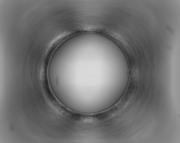 X0000113180587200909181855