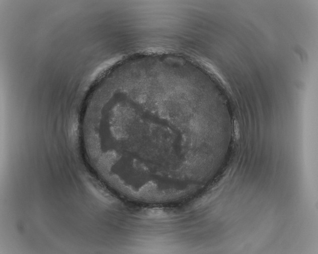 X0000113180588200909181855