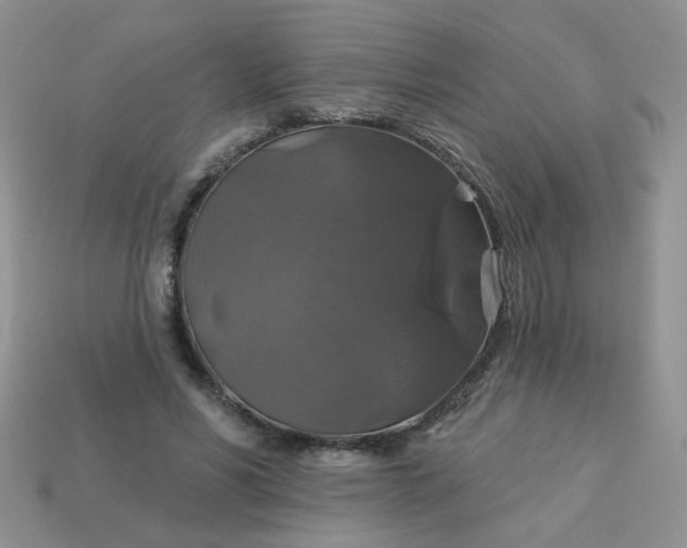 X0000113180590200909181855