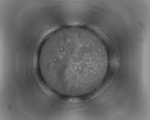 X0000113180591200909181855