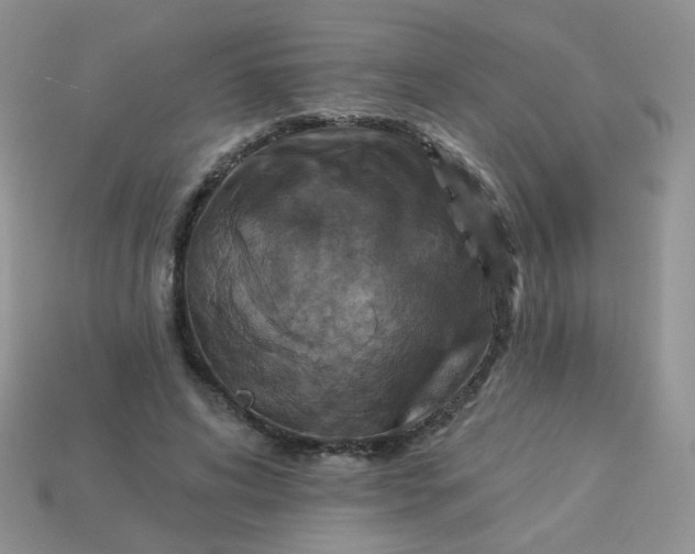 X0000113180592200909181855