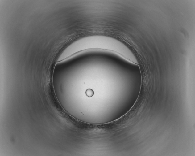 X0000113180593200909181855