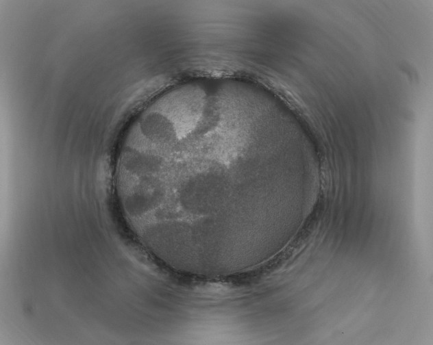 X0000113180594200909181855