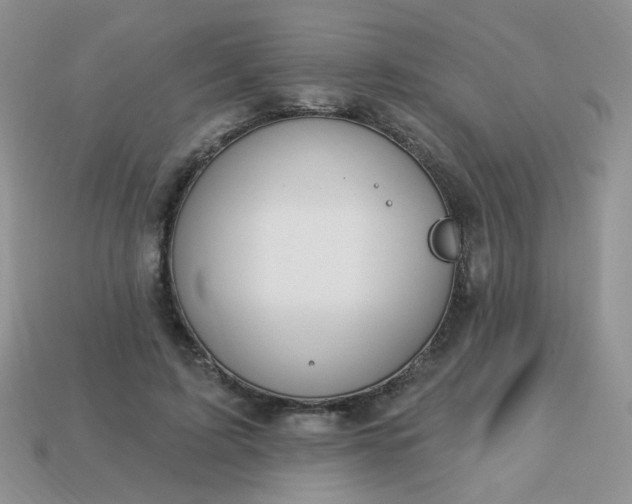 X0000113180595200909181855