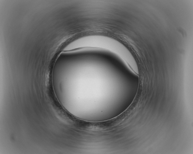 X0000113180596200909181855