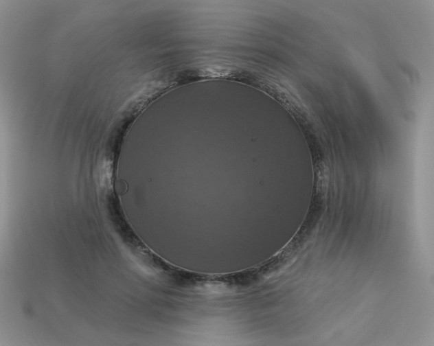 X0000113180598200909181855