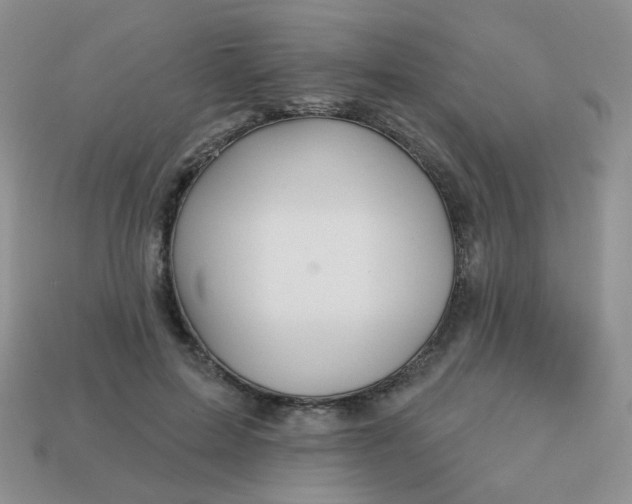 X0000113180599200909181855