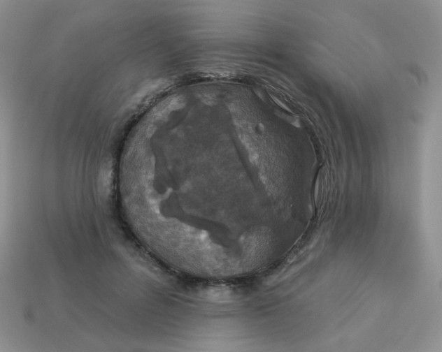 X0000113180600200909181855