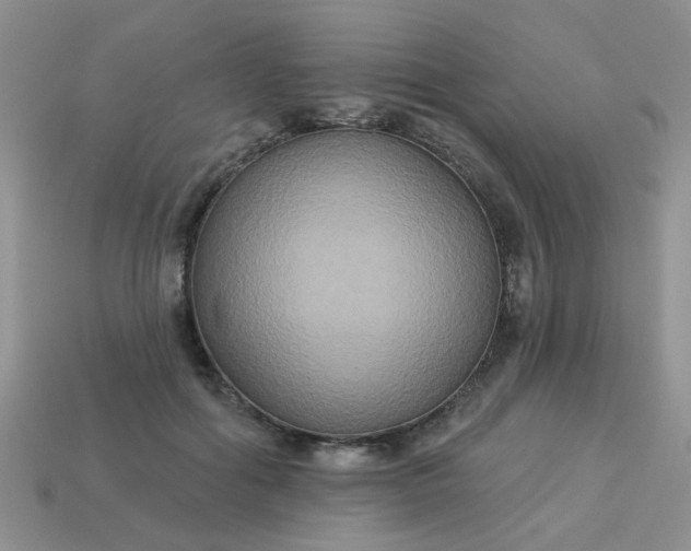 X0000113180602200909181855