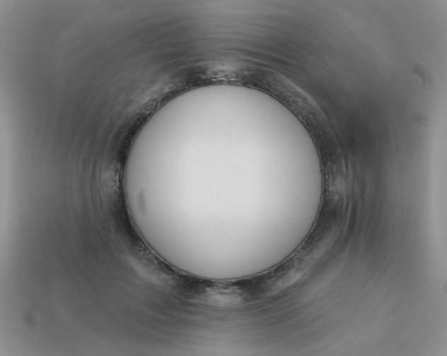 X0000113180603200909181855