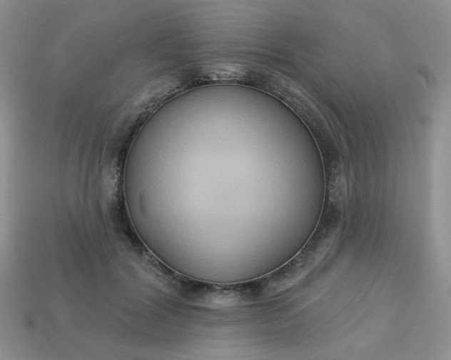 X0000113180604200909181855