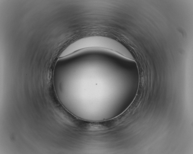 X0000113180605200909181855