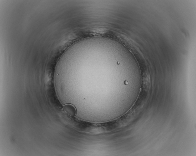 X0000113180608200909181855