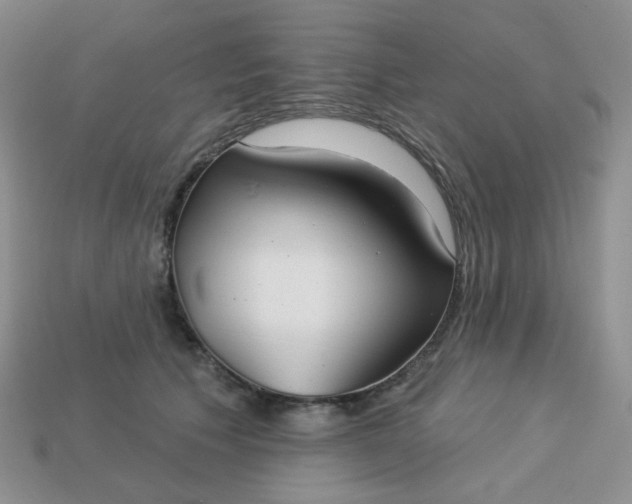 X0000113180609200909181855