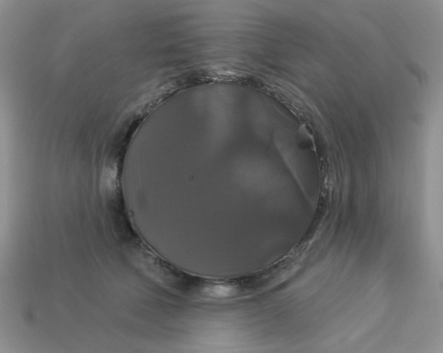 X0000113180610200909181855