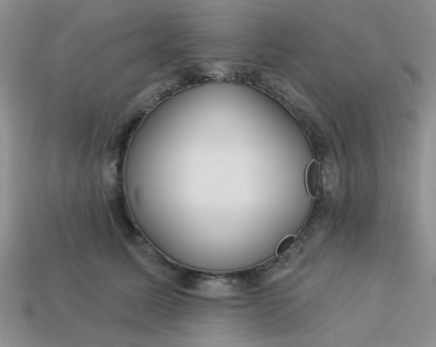 X0000113180611200909181855