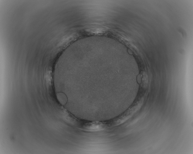 X0000113180612200909181855