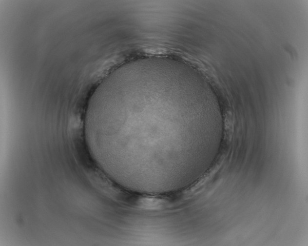 X0000113180614200909181855