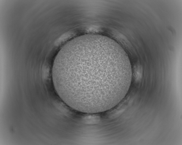 X0000113180619200909181855