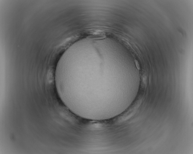 X0000113180620200909181854