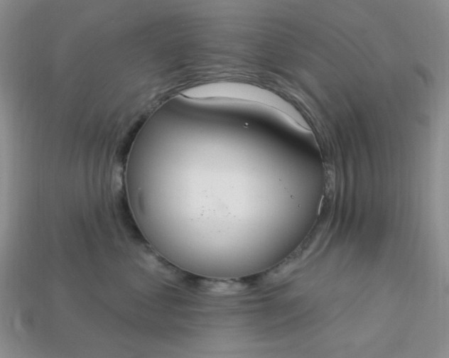 X0000113180621200909181854