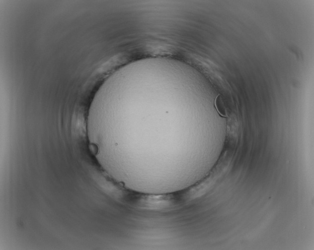 X0000113180622200909181854