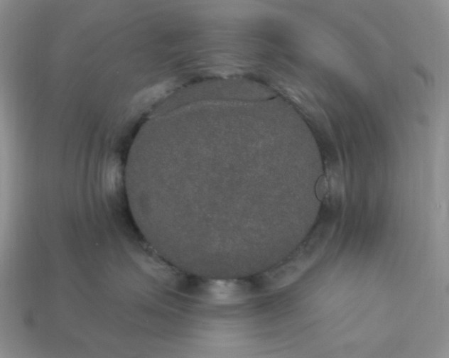 X0000113180623200909181854