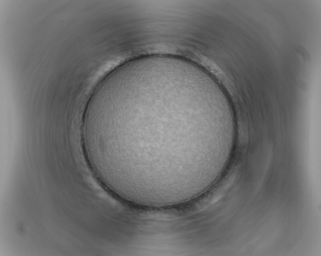 X0000113180625200909181854