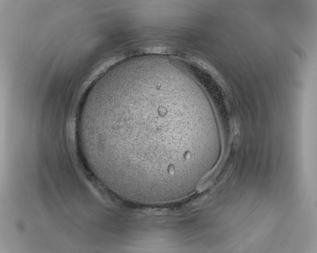 X0000113180626200909181854