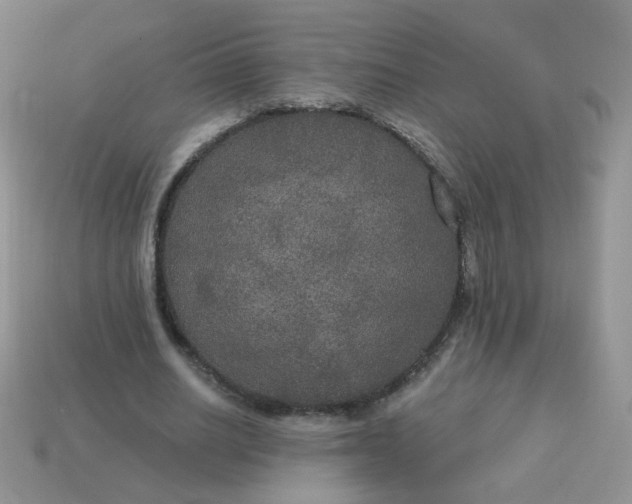 X0000113180630200909181854