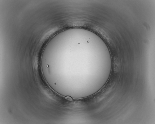 X0000113180631200909181854