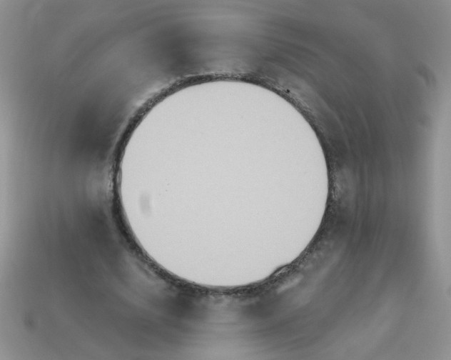 X0000113180632200909181854