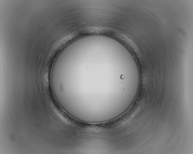 X0000113180633200909181854