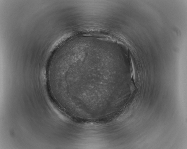 X0000113180634200909181854