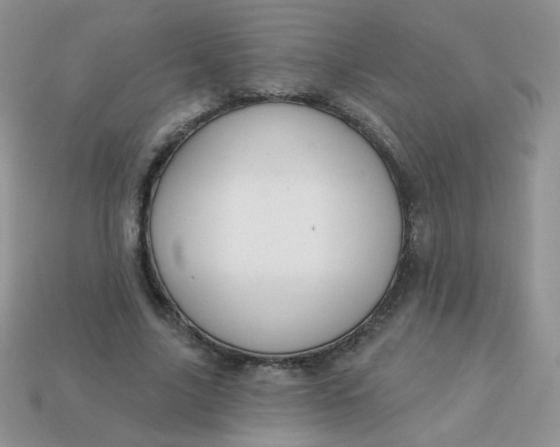 X0000113180635200909181854