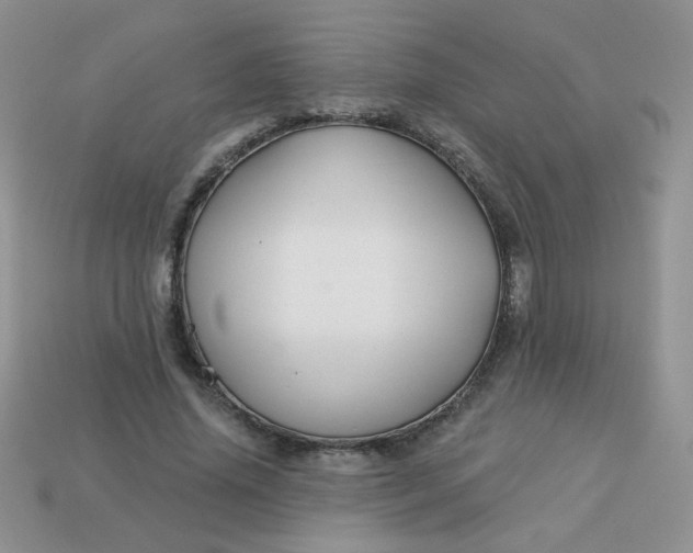 X0000113180636200909181854