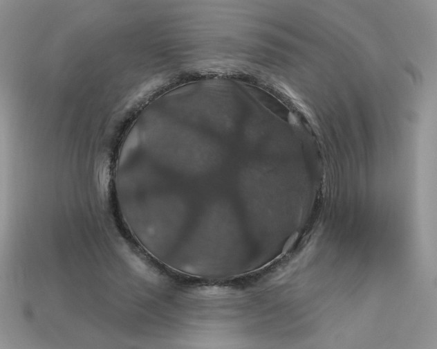 X0000113180637200909181854