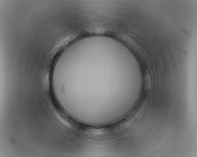 X0000113180638200909181854