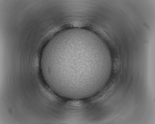 X0000113180639200909181854