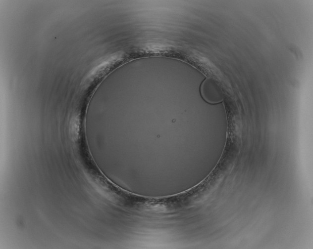 X0000113180640200909181854