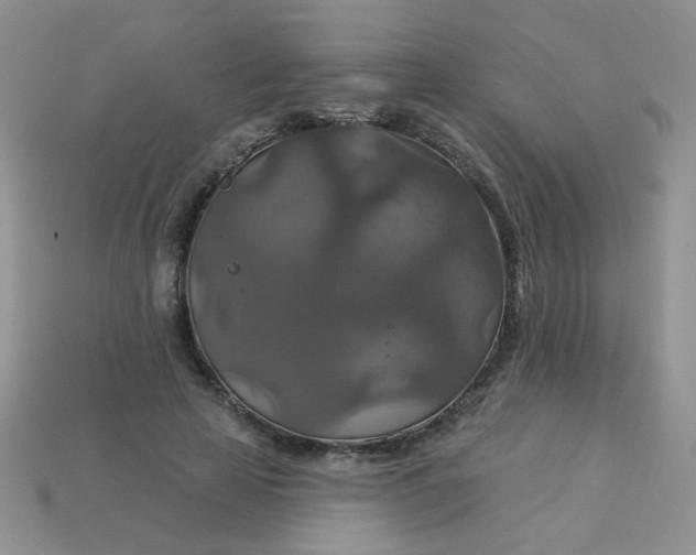 X0000113180641200909181854