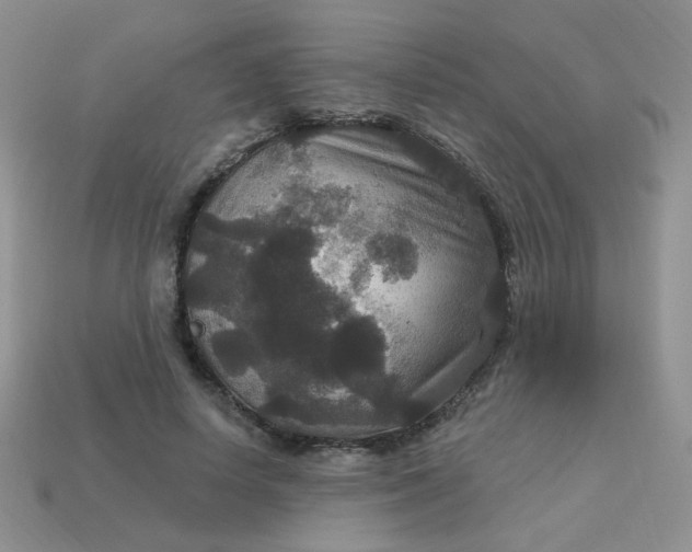 X0000113180642200909181854