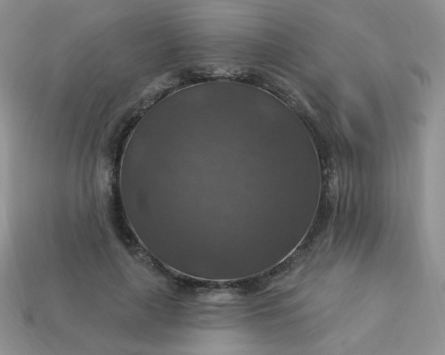 X0000113180643200909181854