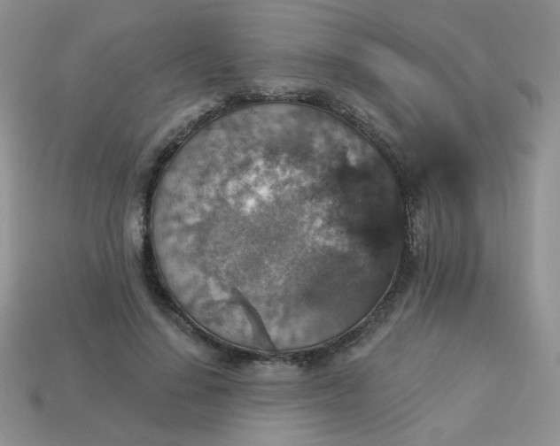 X0000113180644200909181854