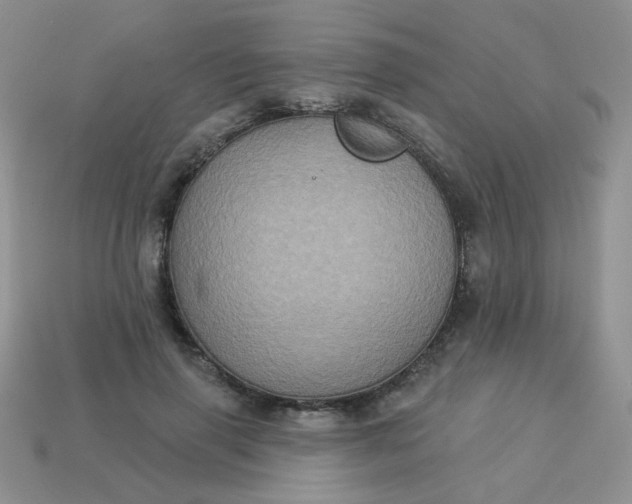 X0000113180645200909181854