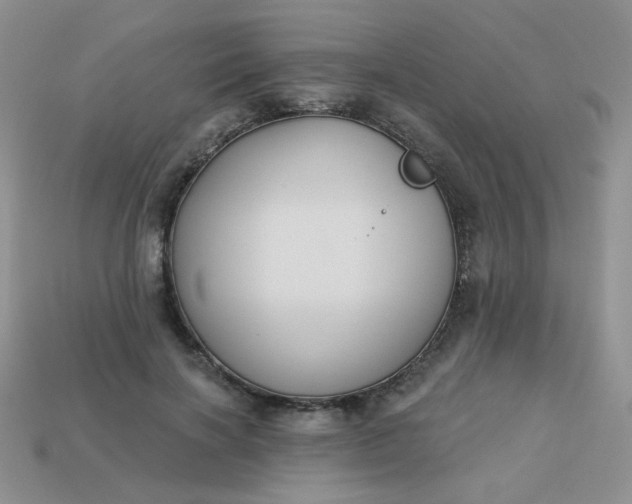 X0000113180646200909181854