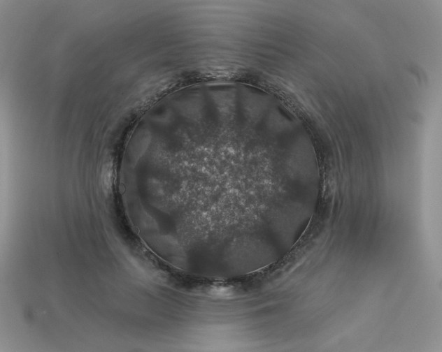 X0000113180647200909181854